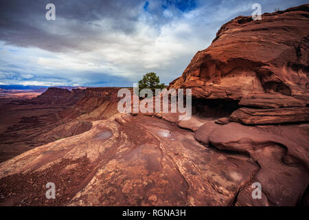 USA, Utah, Canyonlands National Park, les aiguilles, vue Banque D'Images