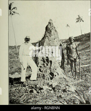 . Bulletin du MuseÌum d'histoire naturelle. L'histoire naturelle. Miisriiin. M. J'{u ;;iii&lt;tii. Pl.. I.. TermitiÃ Reclemanni¨re de termes observÃ©e Ã iVmbalangoda (Ceylan), d'aprÃ¨s une photographie de ch.¨PerriÃ re.. Veuillez noter que ces images sont extraites de la page numérisée des images qui peuvent avoir été retouchées numériquement pour plus de lisibilité - coloration et l'aspect de ces illustrations ne peut pas parfaitement ressembler à l'œuvre originale.. MuseÌum national d'histoire naturelle (Paris). Paris : Impr. nationale Banque D'Images