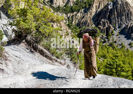 Une femme de la région est porteur de verdure dans un panier sur une route de gravier dans le Upper Marsyangdi valley Banque D'Images