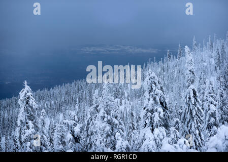Panorama des montagnes de Karkonosze en hiver. Paysage de montagne d'hiver. Banque D'Images