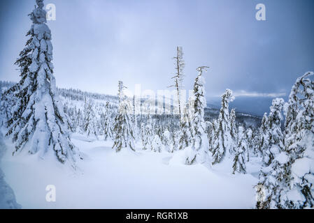 Panorama des montagnes de Karkonosze en hiver. Paysage de montagne d'hiver. Banque D'Images