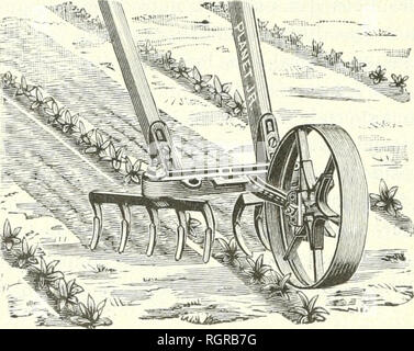 . Bulletin de la Société d'horticulture de Genve. Société d'horticulture de Genve ; Horticulture -- Suisse. Â Â 134 Toutefois, elle ne permet pas de travailler simultanÃ©ment les deux cÃ'tÃ©s d'un mÃªme rang lorsque les plantes sont hautes. Cet outil est excellent pour biner les betteraves, les pommes de terre, verser le beurre et ratisser les plantations diverses d'un jardin maraÃ®cher. Il s'emploie aussi pour. Fig. 20. Caltivaut â lÃ©gÃ¨turation avec le rÃ¢teau. la vigne et la pÃ©piniÃ¨re, et son grand avantage est de pou- voir servir Ã diffÃ©rentes usages, car les accessoires se changent avec la pl Banque D'Images