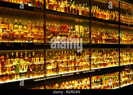 La plus grande collection de whisky dans le monde Banque D'Images