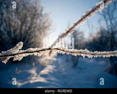 Forêt d'hiver dans la neige. Montagnes de neige. Le gel et les flocons. Emplacement Placez l'Ukraine Carpatique Banque D'Images