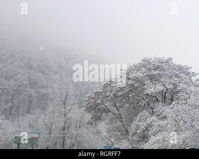 Forêt d'hiver dans la neige. Montagnes de neige. Le gel et les flocons. Emplacement Placez l'Ukraine Carpatique Banque D'Images