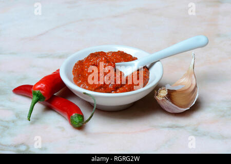 La Harissa, Gewuerzpaste aus piment, Knoblauch, Knoblauchzehe Banque D'Images