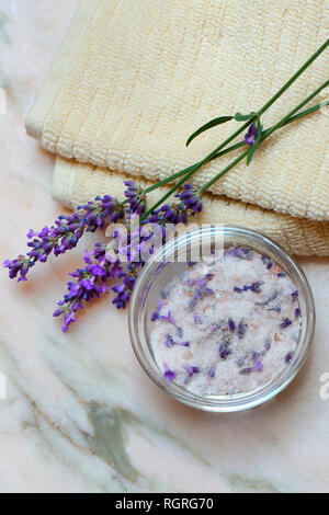 Sel de lavande, sel de mer avec des fleurs de lavande, Lavandula spec. Banque D'Images