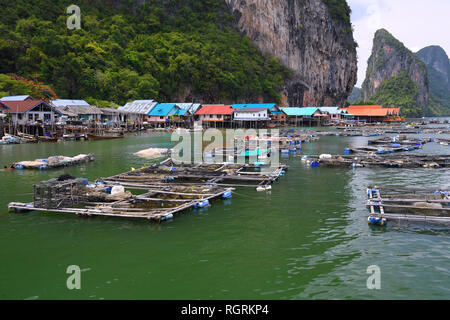 Fuer Haelterungsanlagen muslimisches Stelzendorf lebenden Fisch, Koh Panyi, Koh Panyee, Bucht von Phang Nga, Thaïlande Banque D'Images