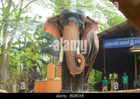 Chandrashekharan thiruvambadi Banque D'Images