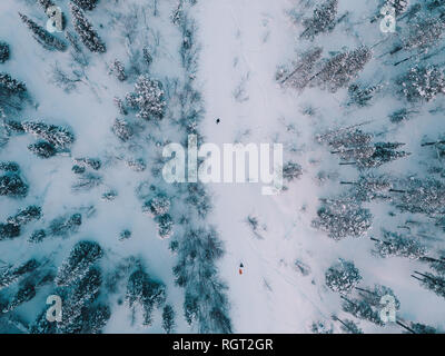 des personnes méconnaissables se promo au milieu d'arbres enneigés dans la magnifique forêt arctique vue d'en haut Banque D'Images