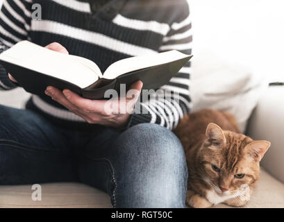 Homme assis sur le canapé en lisant un livre avec du gingembre cat détente près de lui Banque D'Images