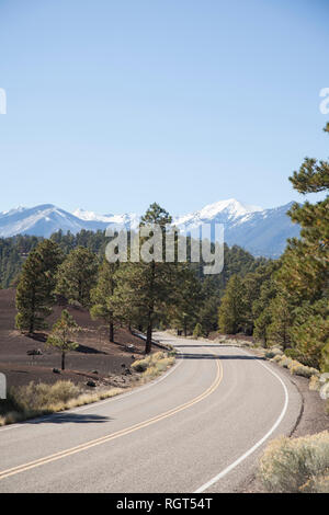 Sunset Crater est un cône de cendres situé au nord de Flagstaff dans l'État américain de l'Arizona. Le cratère est dans le Sunset Crater Volcano National Monument. Banque D'Images