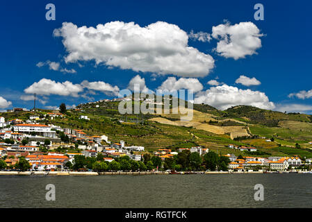 Le fleuve Douro à Pinhao, Pinhao, Vallée du Douro, Portugal Banque D'Images