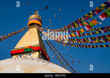 Une nuée de pigeons voler autour du grand stupa avec des drapeaux de prière flottant en Boudha avec maisons environnantes Banque D'Images