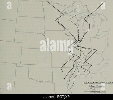 . Bulletin. Histoire naturelle ; l'histoire naturelle. Septembre, 1970 Bellrose &AMP ; Crompton : Micrational 217 canards de comportement. --Y ...t^ ^» / 3']" - Écart-type écart-type recouvrements directs Fig. 24. - La distribution longitudinale des recouvrements indirecte du canard noir par rapport à recouvrement direct sur la base de lignes moyenne et écart-type. Les canards noirs bagués au McGinnis Slough. Le comté de Cook, Illinois, 1940-1947. et indirects recouvrements de la latitude de la station de baguage (41°-42°) serait la même, dans la mesure où le recouvrement direct local représentent le temps restant : durin Banque D'Images