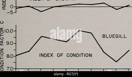 . Bulletin. Histoire naturelle ; l'histoire naturelle. Les niveaux de l'eau 437,5 PIEDS OU PLUS 1952 1954 1950 1952 1954 10-1 INDICE DE CROISSANCE 1956 1958 1950 1952 1958 o. Fig. 33. à la tendance des niveaux d'eau au lac Chautauqua (nombre de jours les niveaux d'eau étaient au moins 437,5 pieds au-dessus du niveau moyen de la mer en Juin, Juillet et Août, tableau 41 ) et les tendances de la taille las reflétée par les prises des pêcheurs, tableau 40), les indices de croissance, et les indices de condition de l'automne (C) de crapets arlequins au lac Chautauqua. 1950-1959. La tendance dans les indices de condition a été tout à fait semblable à la tendance dans les niveaux d'eau. Partie de la courbe représentent Banque D'Images
