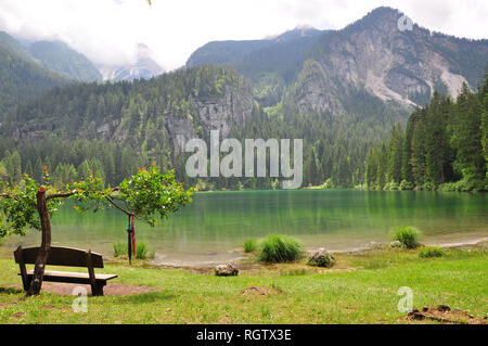 Banc au lac, paysage naturel magnifique dans le parc national d'Adamello, Italie Banque D'Images