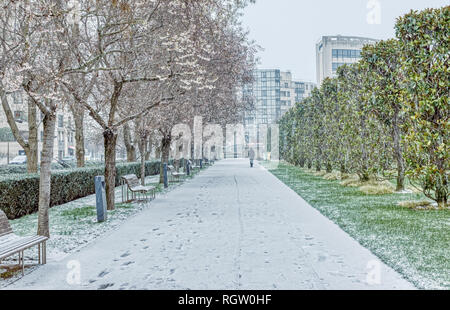 Neige sur le Parc André Citroën à Paris Banque D'Images