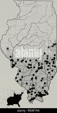 . Bulletin. Histoire naturelle ; l'histoire naturelle. Novembre, 1961 Smith : Amphibiens et reptiles de l'Illinois 135 cette course à partir de l'ouest course tridactyle, Terrapene Carolina triunguis, dans cette région, les tortues-boîtes des comtés riverains du Mississippi ont été analysées à l'influence possible triunguis. Au cours de cette étude de nombreux spécimens ont été ex- amined, qui avaient tous 4 orteils et marquages distincts, jusqu'en avril 1954, quand un homme adulte a été trouvé à Golden Eagle, comté de Calhoun. Ce spécimen est incontestablement triunguis ; il a 3 orteils, un obscur motif et la typica Banque D'Images