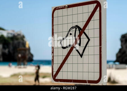 Chiens non admis sign in Menorca,2013. Banque D'Images