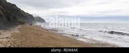 Charmouth, Dorset, England, UK. 24 juin 2017. Les gens méconnaissable à la recherche de fossiles sur la côte jurassique. Banque D'Images