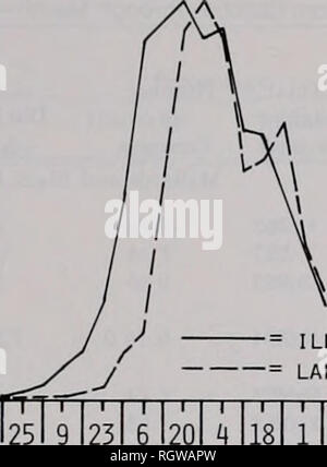 . Bulletin. Histoire naturelle ; l'histoire naturelle. July1981 Sanderson &AMP ; Anderson : La sauvagine 669 Fig. 3,-relative abondance des Canards colverts au lac Sangchris et dans la rivière Illinois valley de Spring Valley à Meredosia pendant l'automne et l'hiver de 1972-1973 à travers ! 1976-1977. 100- rendez--- 70, 60- 50- 40- 30- 20- 10- 0-.  = ILLINOIS VALLEY  = LAKE SANGCHRIS J ' ' I M M M ' I ' I ' 1I15I29J12J25J12J26J9 18 2 16 30 13 11 11 25 8 22 5 19 5 19 2 sept. OCT. Nov. déc. JAN. Fév. MAR. Avr. La pêche n'était pas permise dans les bras d'admission ou le bras de commande au cours de la saison de chasse des oiseaux d'eau. Toutefois, pêches Banque D'Images