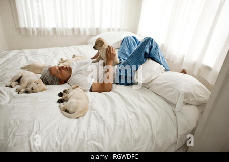 L'homme joue avec les chiots sur lit. Banque D'Images