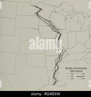 . Bulletin. Histoire naturelle ; l'histoire naturelle. Septembre, 1970 Bellrose &AMP ; Crompton : comportement migratoire de canards A. ^^^A Fig. 4. -Les lignes axiales, 1940-1945, des actions indirectes des récupérations des fron. nallards Chautaqua bagué au Lac La latitude marquée par la 47° et 48° parallèles montre une variation particulière dans les moyens.* Dans 13 des 17 dernières années, les lignes axiales montrent une rotation brusque est-sud- vers l'Est, à partir de leurs points d'origine dans le nord-est du Dakota du Nord, dans l'ouest du Minnesota, mais, ensuite, dans la zone suivante au sud (entre le 46° et 47° * pour tous les emplacements des zones désignées par parallels et Meridian Banque D'Images