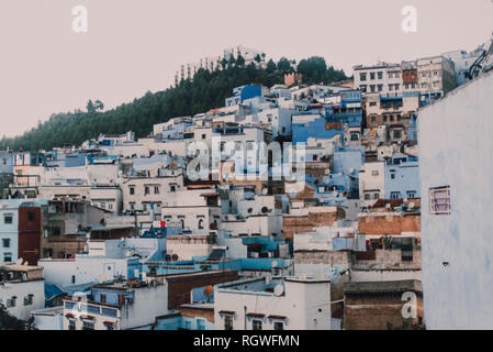 De nombreuses maisons anciennes aux façades blanches et bleues près des bois verdoyants sur la montagne de Chefchaouen, au Maroc Banque D'Images