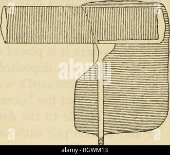 . Bulletin. De l'ethnologie. FiGXJRE 67.-"Motilones" ax-flûte. La tête de la section ci-dessous. Bolinder, 1917, fig. 29, a, b.) (d'après un dessin de danses.-danses Chakc suivre un schéma simple : les hommes dansent en paires, chaque son arc au repos ou sa main sur l'épaule de son partenaire, tandis qu'ils marchent en avant et en arrière, l'estampillage du sol et chantant une chanson- monoton. Sports et jeux.-Le Lache des différents groupes locaux, probablement, s'est livré à poings qui, généralement, a donné lieu à de nombreuses victimes. Dans un favori Chake game boys tirer les uns les autres avec des pointes de flèches avec les épis. Dans un autre jeu une balle je Banque D'Images