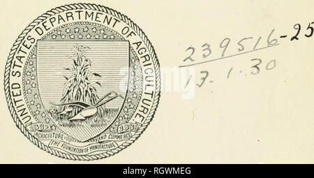 . Bulletin. 1901-13. L'agriculture ; l'Agriculture. ( . S. MINISTÈRE DE L'AGRICULTURE. BUREAU DE L'INDUSTRIE DES PRODUITS-BULLETIN N° 191. B. T. GALLOWAY, chef de bureau. La valeur des hybrides de PREMIÈRE GÉNÉRATION DANS LE MAÏS. G. N. COLLINS, botaniste, l'acclimatation des cultures et l'adaptation des enquêtes. Publié le 22 octobre 1910.. WASHINGTON, Government Printing OFEIOE. L910.. Veuillez noter que ces images sont extraites de la page numérisée des images qui peuvent avoir été retouchées numériquement pour plus de lisibilité - coloration et l'aspect de ces illustrations ne peut pas parfaitement ressembler à l'œuvre originale.. United States. O Bureau Banque D'Images