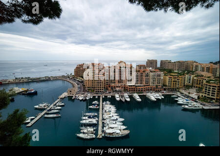 Vue (grand angle) du quartier de Fontvieille avec des arbres sur le premier plan, Principauté de Monaco Banque D'Images