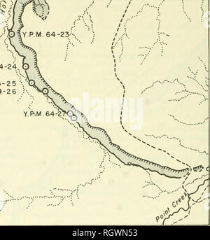 . Bulletin. L'histoire naturelle. YPM 220 64-23 SO 1/4 Sec. 26 , T.4 S. , R.29 E. , 2 miles (3. 2 km) est de Cashen ranch house sur l'Coulee, Big Horn County, Montana. Voir la carte de la localité Horizon V. : Unité VI, 2 pieds (0. 6 m) ci-dessous VH Unité. Les spécimens recueillis : Crocodilia (5425) ; d'YPM Tenontosaurus sp. 5428) ; d'YPM Sauropelta edwardsi (YPM 5300, 5522). 64-24 d'YPM SW 1/4 Sec. 35, T.4 S. , R.29 E. , 300 yards (274 m) au sud d'YPM 64-23, 2 miles (3. 2 km) est de Cashen ranch house. Big Horn County, Montana. Voir la carte de la localité C. Horizon : VII, 8 pieds (2,4 m) au-dessus de Unit VI. Spécimen récolté : Sauropelt Banque D'Images