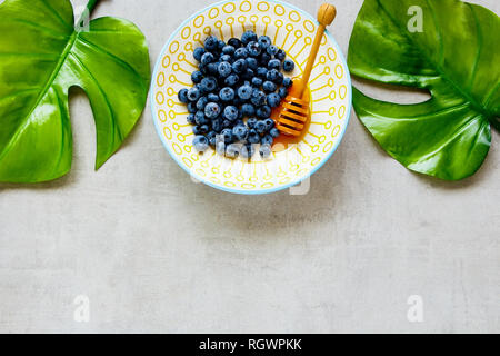 Avec le miel de bleuet sauvage sur fond clair télévision lay Banque D'Images