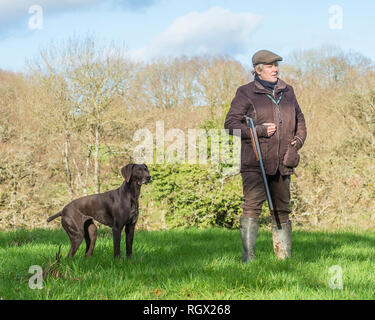 Hunter et femelle braque allemand chien Banque D'Images