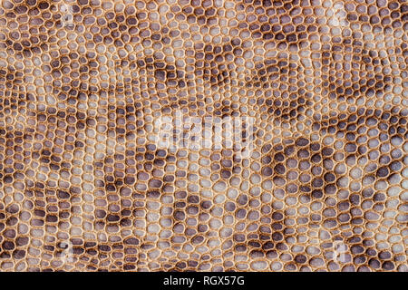 Véritable cuir gaufré de texture sous la peau de léopard, beyge imprimer couleur marron, fond à la mode Banque D'Images