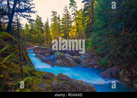 Vue d'exposition longue de l'écoulement de l'eau sur Little Qualicum Falls dans l'île de Vancouver, Canada Banque D'Images