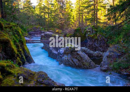 Vue d'exposition longue de l'écoulement de l'eau sur Little Qualicum Falls dans l'île de Vancouver, Canada Banque D'Images