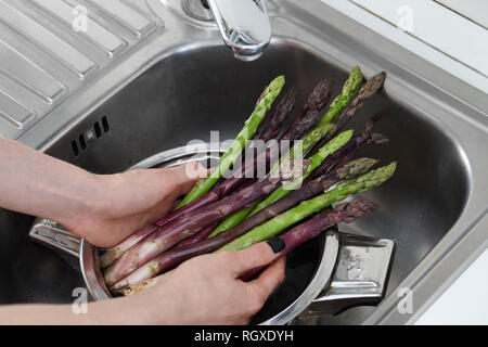 Laver les asperges vertes et violettes en pot métal dans la cuisine Banque D'Images