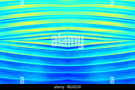 Les ondes géométriques abstraites en style pinceau (lignes bleue et jaune) Banque D'Images
