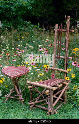 Belle chaise à la main et le cœur rouge de table so es cornouiller à côté de la tige de fleurs sauvages indigènes, juillet, Missouri, États-Unis Banque D'Images