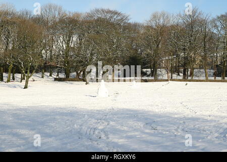 30/01/2019 Edgeside Park, Lancashire, UK,Waterfoot Banque D'Images