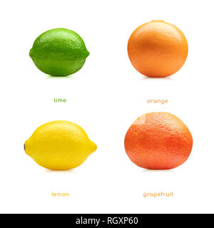 Citron, lime, orange, pamplemousse fruits ensemble isolé sur fond blanc Banque D'Images