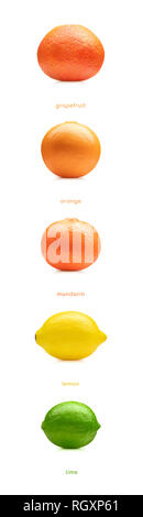 Citron, lime, orange, mandarine, pamplemousse fruits ensemble isolé sur fond blanc Banque D'Images