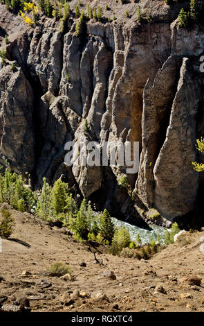 WY03075-00...WYOMING - flèches rocheuses le long des murs du Canyon de la Yellowstone River de la Yellowstone River in Yellowstone Trail de pique-nique Banque D'Images