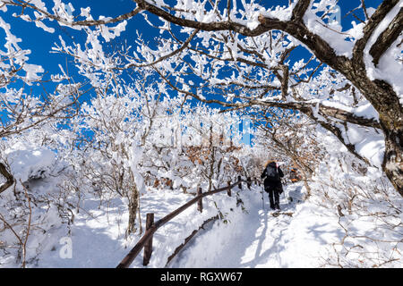 Les gens de la randonnée sur la montagne couverte de neige et Deogyusan sur les arbres Banque D'Images
