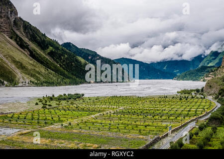 Campagne agricole avec des vergers de pommiers dans la vallée de Kali Gandaki, sombres nuages de la mousson approchant Banque D'Images