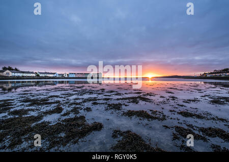 Sunrise rose Killyleagh Castle Banque D'Images