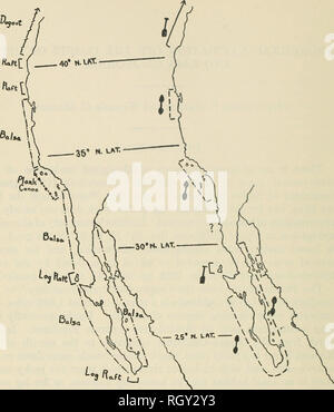 . Bulletin. De l'ethnologie. 290 BUREAU OF AMERICAN ETHNOLOGY [Bull. 151 ^ fiaft Y. Carte 5.-La distribution des types de bateaux et de pagayer le long des côtes de la Haute et de la Basse Californie. À partir de San Diego au sud le long de la côte ouest de la Basse CaH- fornia est une basse latitude littoral désertique où le bois disponible est absent (avec deux exceptions à noter ci-dessous). Bateaux en bois serait une impossibilité, et la maladie fait de recueillir facilement tules (Scirpus sp.) est généralement employé. De grands peuplements de cèdres et de pins de l'île de Cedros au cap San Lucas offerts dans divers matériaux pour bateaux, et ici nous trouvons log r Banque D'Images