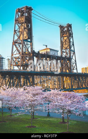 Pont en acier, Portland OU Cherry Blossom Trees in Spring Background Nice Banque D'Images